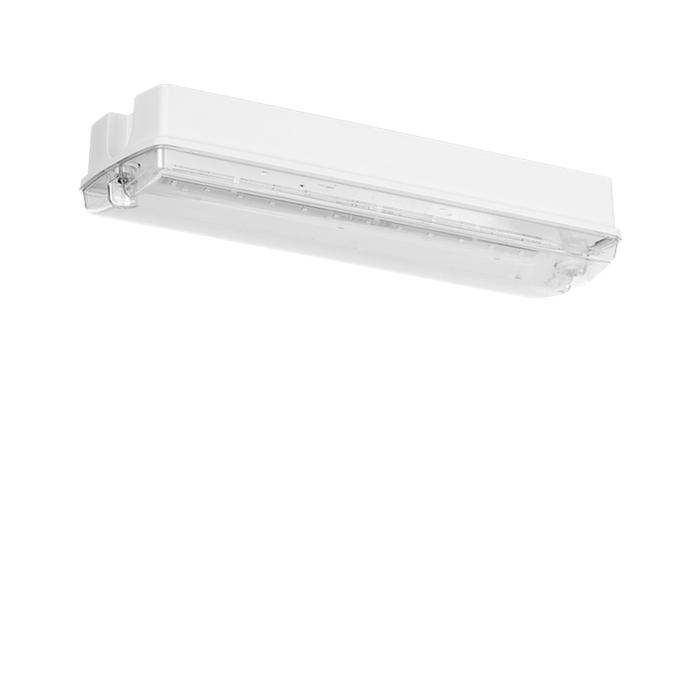 Aurora EN-EMBH 3.7W IP65 IK10 LED Emergency Bulkhead with Exit Sign Manual Test - westbasedirect.com