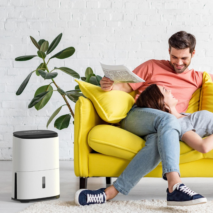 MeacoDry Arete One - 12L Dehumidifier & Air Purifier - westbasedirect.com