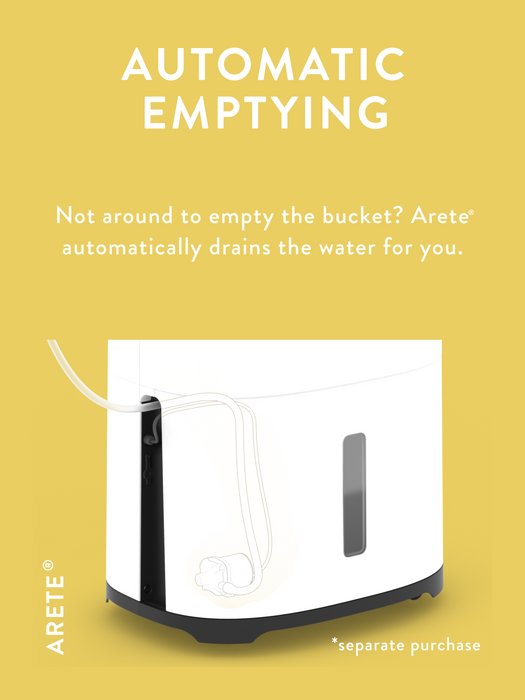 MeacoDry Arete One - 25L Dehumidifier & Air Purifier - westbasedirect.com