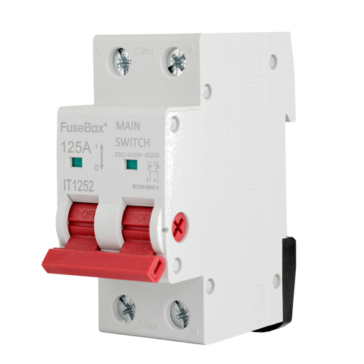 FuseBox IT1252 125A AC22A 2P Main Switch - westbasedirect.com