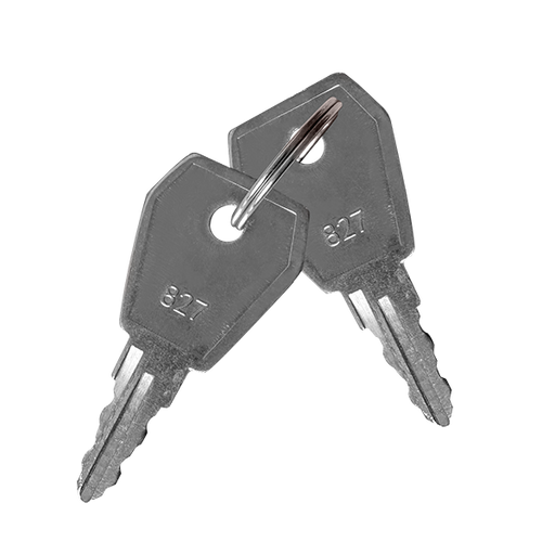 ESP MAGISORPK Spare Keys for Fire Isolator Switch (Pack of 2) - westbasedirect.com