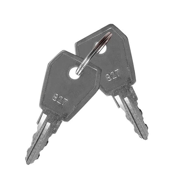 ESP MAGISORPK Spare Keys for Fire Isolator Switch (Pack of 2) - westbasedirect.com