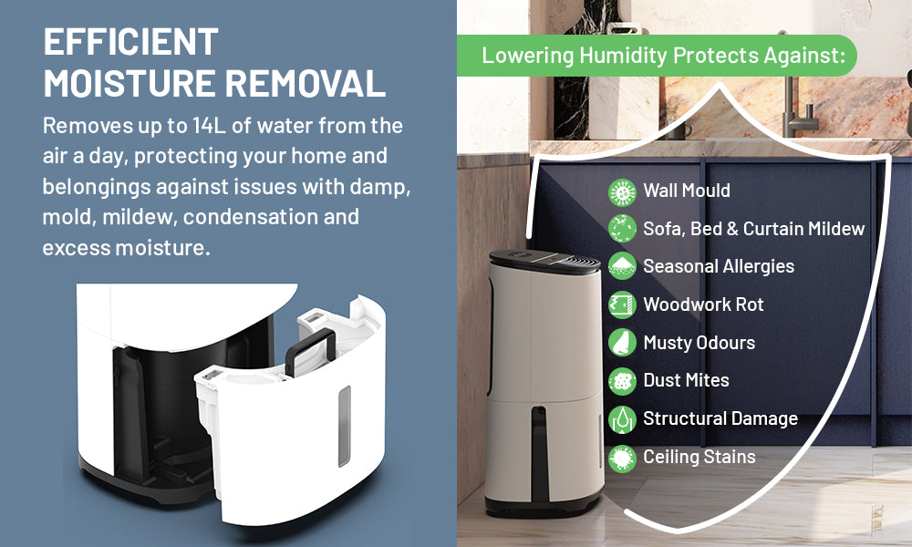 MeacoDry Arete One - 20L Dehumidifier & Air Purifier - westbasedirect.com
