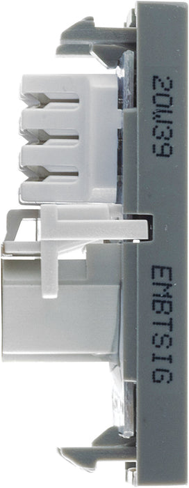 BG EMBTSIG Euro Module Telephone BT Slave (IDC) - Grey - westbasedirect.com
