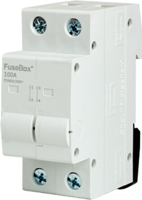 FuseBox IT1002U 100A Double Pole Connector