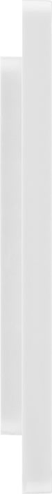 BG Evolve PCDBSEMS2W Twin Euro Module Aperture Single Front Plate (50 x 50) - Brushed Steel (White) - westbasedirect.com