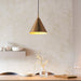 Endon 102891 Cape Pendant Warm antique brass plate 10W LED E27 (Required) - westbasedirect.com