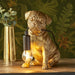 Endon 107324 Pug puppy Table Vintage gold paint & matt black 7W LED E14 (Required) - westbasedirect.com