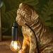 Endon 107324 Pug puppy Table Vintage gold paint & matt black 7W LED E14 (Required) - westbasedirect.com