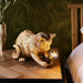 Endon 107389 Kitten Table Vintage gold paint & matt black 7W LED E14 (Required) - westbasedirect.com