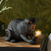 Endon 107390 Kitten Table Matt black 7W LED E14 (Required) - westbasedirect.com