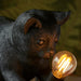 Endon 107390 Kitten Table Matt black 7W LED E14 (Required) - westbasedirect.com