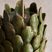 Endon 111254 Layered Leaf Table Base Dark olive glaze & brushed aged brass plate 10W LED B22 (Required) - westbasedirect.com