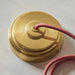 Endon 111512 Eltham Cable Set Brushed aged brass plate & red flex 10W LED B22 (Required) - westbasedirect.com