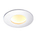 Saxby 112544 OrbitalPRO 4CCT Chrome IP65 9W Brushed satin nickel plate 9W LED module (SMD 2835  CCT) CCT - westbasedirect.com