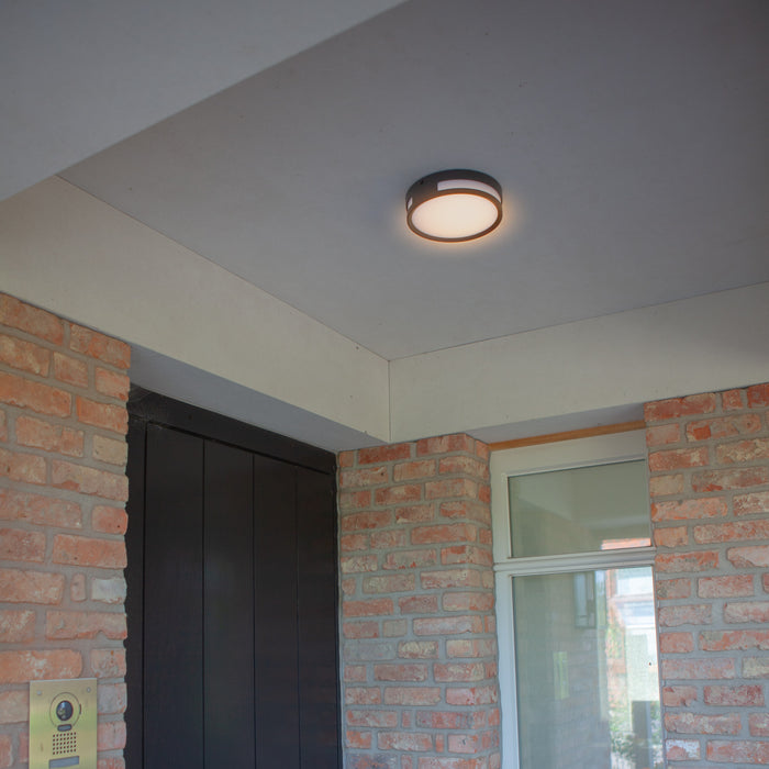 Lutec 6382201118 ROLA 11.6W IP54 LED Wall or Ceiling Light 3000K - Dark Grey