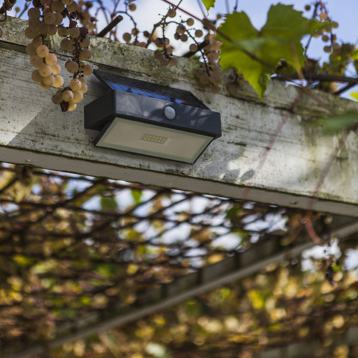 Lutec 6910601335 ARROW 2.3W IP44 LED Solar Outdoor Wall Light with PIR 5000K - Dark Grey