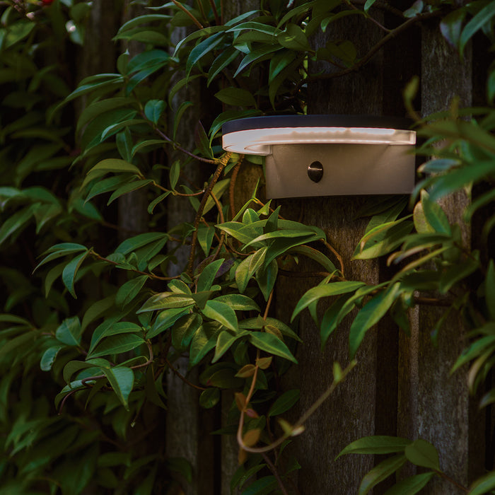 Lutec 6915701335 VYZOR 7W IP44 LED Solar Outdoor Wall Light with PIR 4000K - Dark Grey