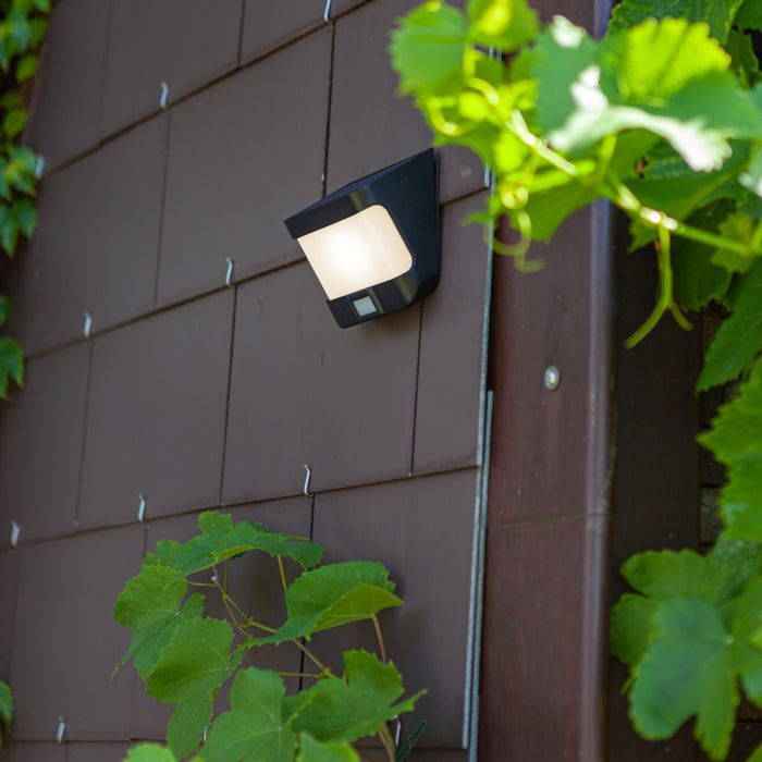 Lutec 6939101330 TRY 8W IP54 LED Solar Outdoor Wall Light with PIR 5000K - Matt Black