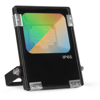 Aurora 100687 ArcheoRGBCX 230V 20W LED IP65 Floodlight Black RGB+W 2700K-6500K