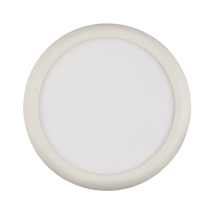 Collingwood CDL0218S 12W/18W IP44 CCT Commerical Downlight, 3000K/4000K/6000K, White