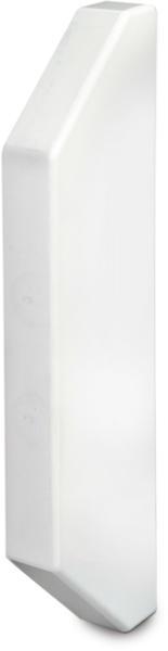 Univolt CE-50/170 Starline 50x170mm End Cap for SLC Dado Trunking Chamfered