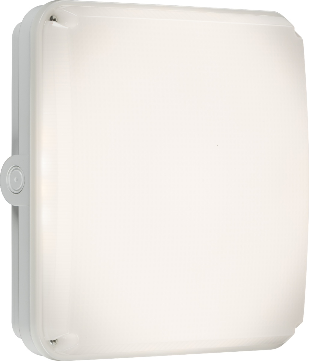Square LED Bulkheads