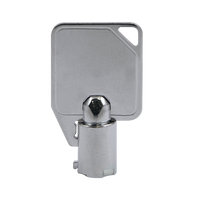 ESP MAGDUOPK Spare Keys for MAGDUO Panels (Pack of 2)
