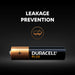 Duracell +100% Plus Power AAA LR03 | 12 Pack - westbasedirect.com
